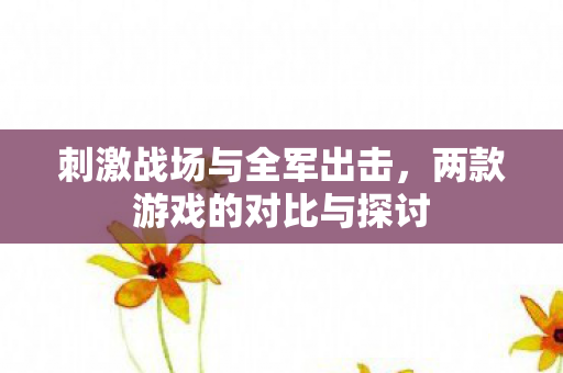 两款游戏的对比与探讨图片