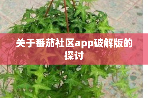 关于番茄社区app破解版的探讨图片