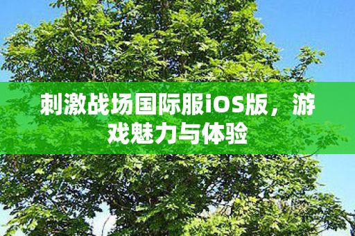 刺激战场国际服iOS版图片