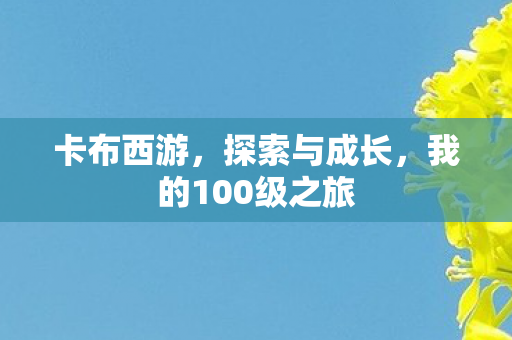 我的100级之旅图片