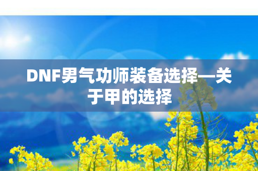 DNF男气功师装备选择图片