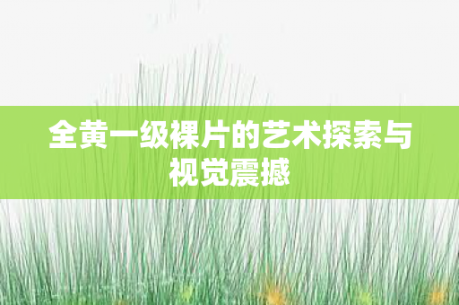 全黄一级裸片的艺术探索与视觉震撼图片