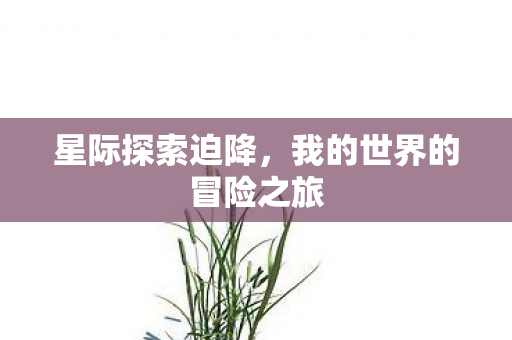 我的世界的冒险之旅图片