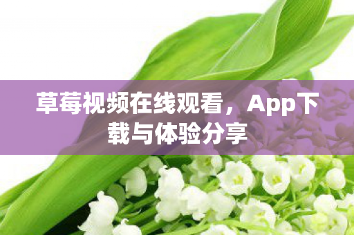 App下载与体验分享图片