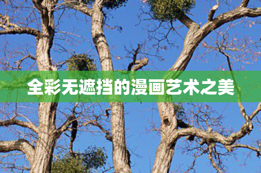 全彩无遮挡的漫画艺术之美图片