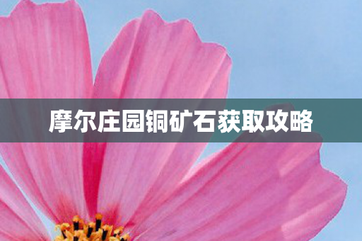 摩尔庄园铜矿石获取攻略图片