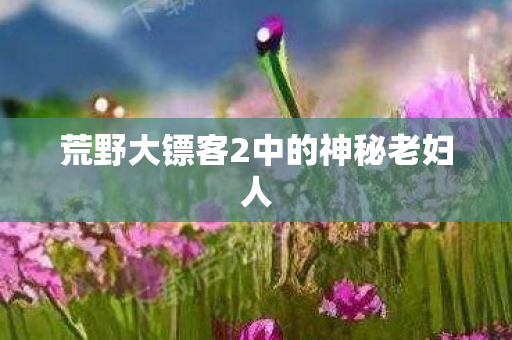 荒野大镖客2中的神秘老妇人图片