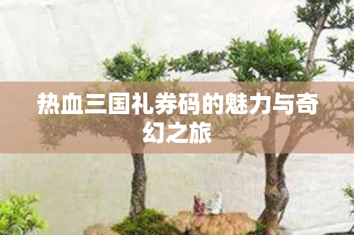 热血三国礼券码的魅力与奇幻之旅图片