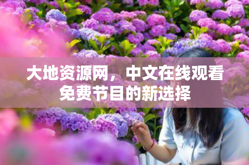 中文在线观看免费节目的新选择图片