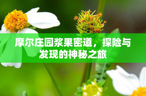 探险与发现的神秘之旅图片