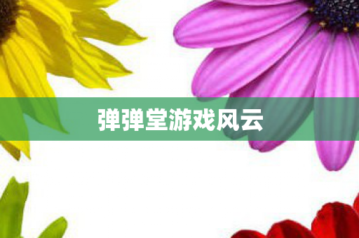 弹弹堂游戏风云图片