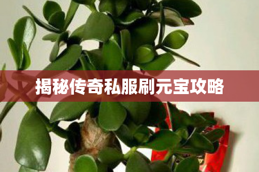 揭秘传奇私服刷元宝攻略图片