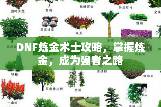 DNF炼金术士攻略图片