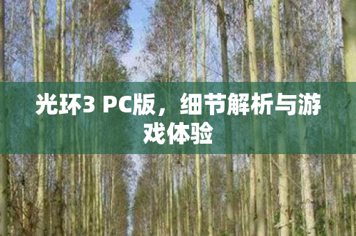 细节解析与游戏体验图片
