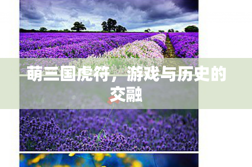 游戏与历史的交融图片