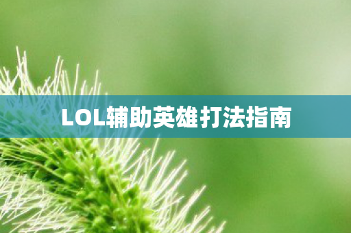 LOL辅助英雄打法指南图片