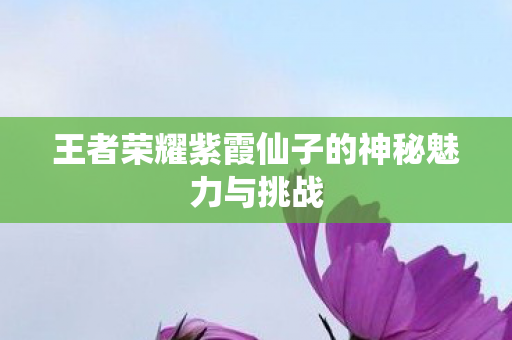 王者荣耀紫霞仙子的神秘魅力与挑战图片