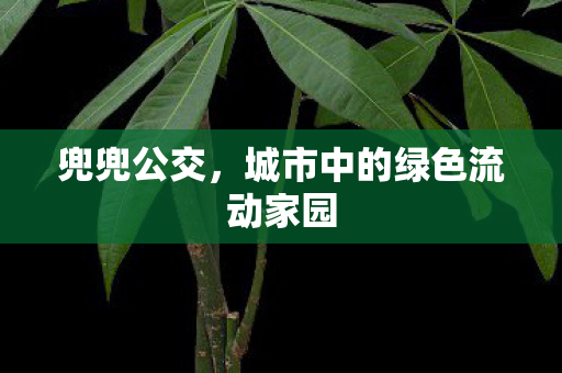 城市中的绿色流动家园图片