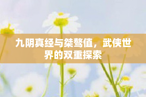 武侠世界的双重探索图片