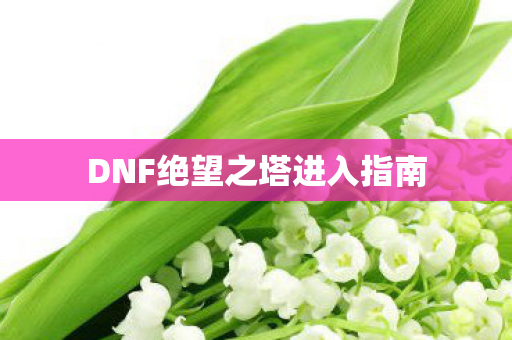 DNF绝望之塔进入指南图片