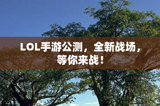 LOL手游公测图片
