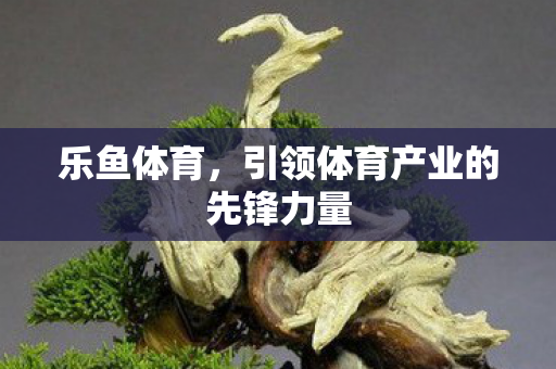 引领体育产业的先锋力量图片