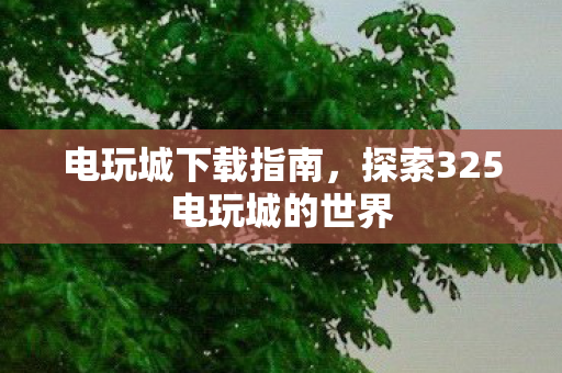 探索325电玩城的世界图片