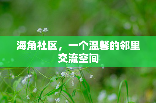 一个温馨的邻里交流空间图片