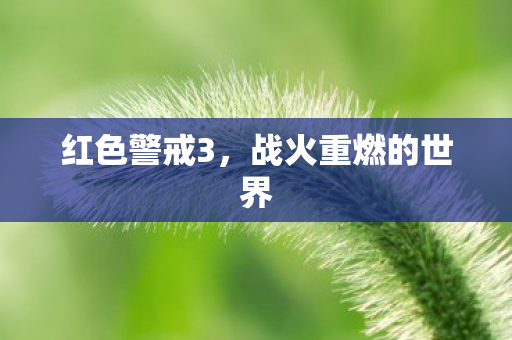战火重燃的世界图片