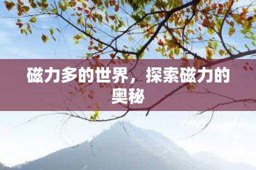 探索磁力的奥秘图片