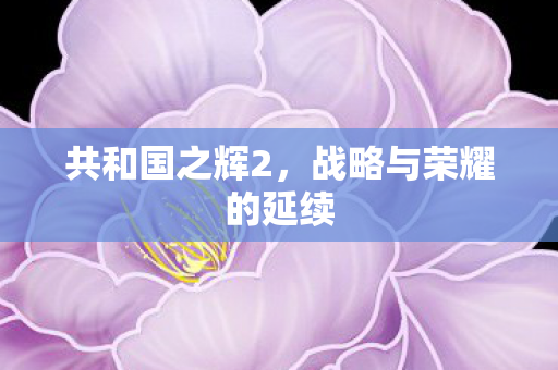 战略与荣耀的延续图片