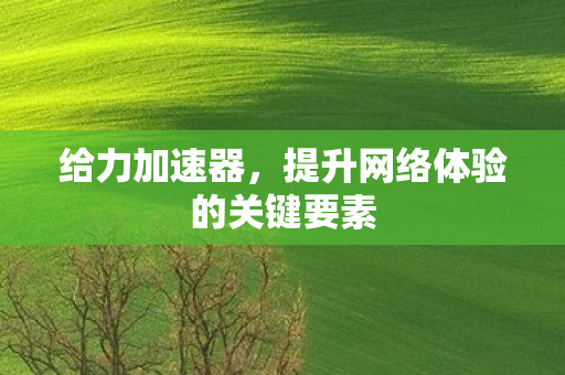 提升网络体验的关键要素图片