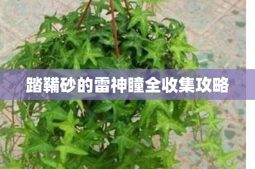 踏鞴砂的雷神瞳全收集攻略图片