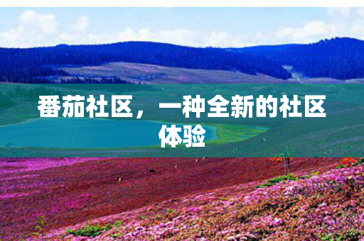 一种全新的社区体验图片