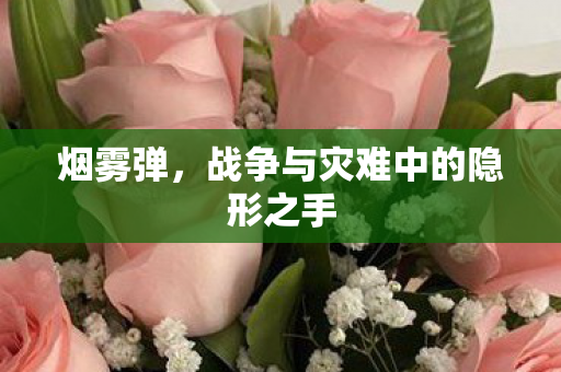 战争与灾难中的隐形之手图片
