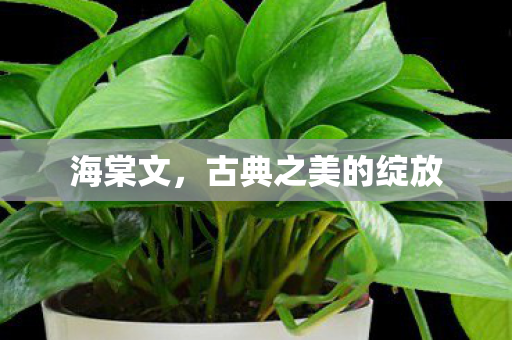 古典之美的绽放图片