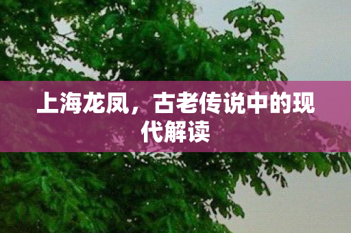 古老传说中的现代解读图片
