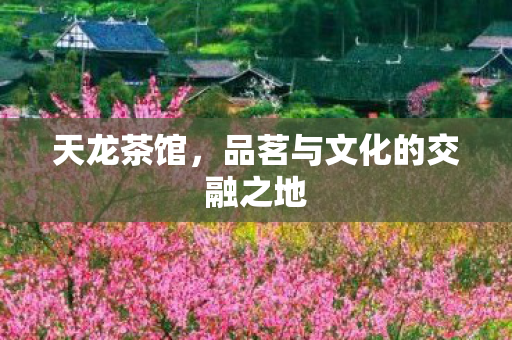 品茗与文化的交融之地图片