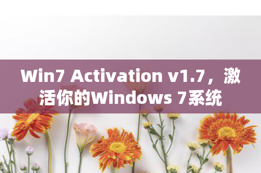Win7 Activation v1图片