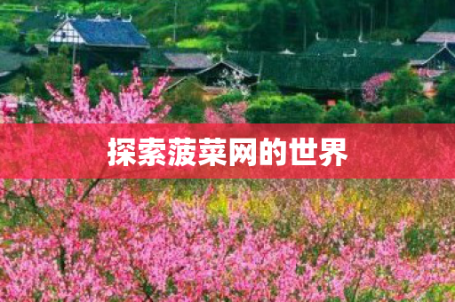 探索菠菜网的世界图片