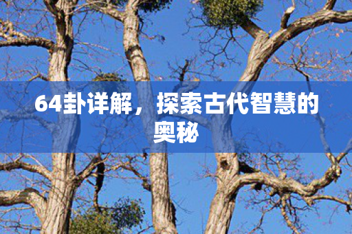 探索古代智慧的奥秘图片
