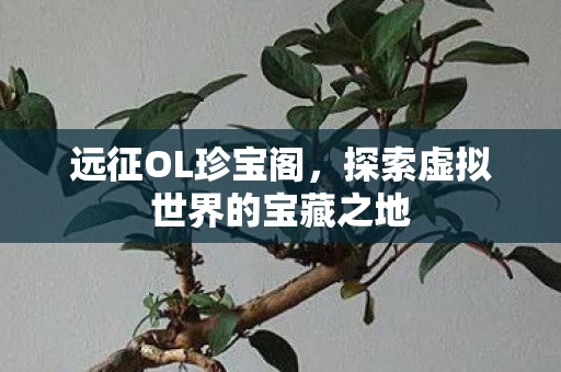 探索虚拟世界的宝藏之地图片