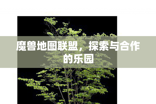 探索与合作的乐园图片