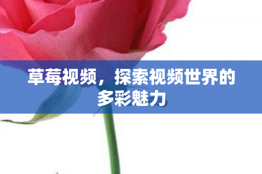 探索视频世界的多彩魅力图片