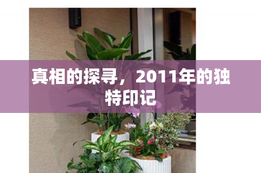 2011年的独特印记图片