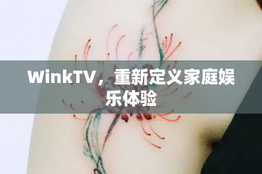 重新定义家庭娱乐体验图片