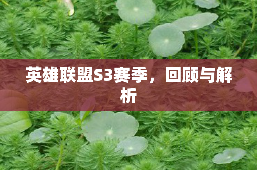 英雄联盟S3赛季图片