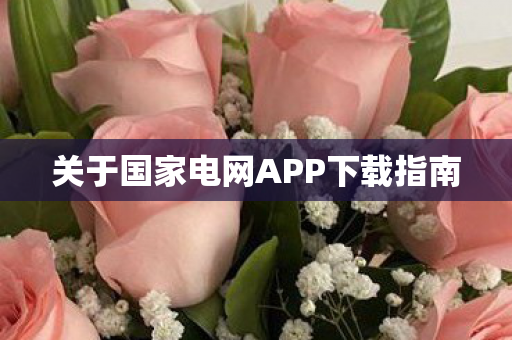 关于国家电网APP下载指南图片