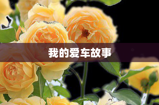 我的爱车故事图片