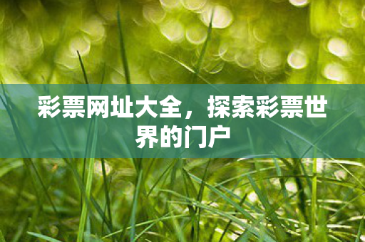 探索彩票世界的门户图片